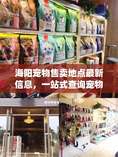 海陽(yáng)寵物售賣地點(diǎn)最新信息，一站式查詢寵物愛(ài)好者福音
