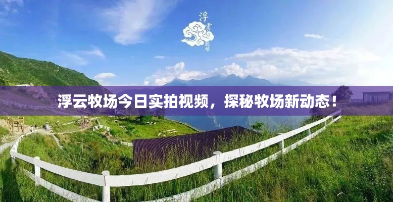 浮云牧場今日實拍視頻，探秘牧場新動態(tài)！