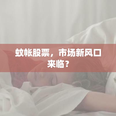 蚊帳股票，市場(chǎng)新風(fēng)口來(lái)臨？