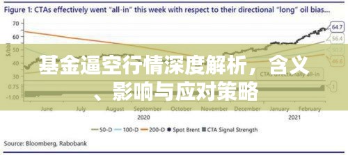 基金逼空行情深度解析，含義、影響與應(yīng)對(duì)策略