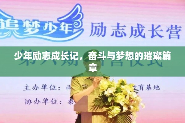 少年勵(lì)志成長(zhǎng)記，奮斗與夢(mèng)想的璀璨篇章