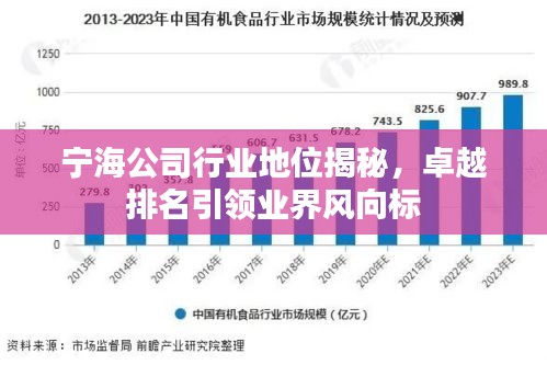 寧海公司行業(yè)地位揭秘，卓越排名引領(lǐng)業(yè)界風(fēng)向標(biāo)