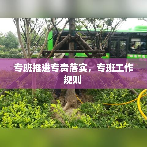 專班推進(jìn)專責(zé)落實(shí)，專班工作規(guī)則 