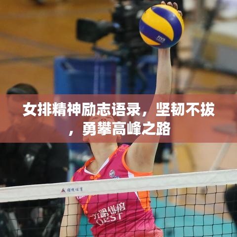 女排精神勵志語錄，堅韌不拔，勇攀高峰之路