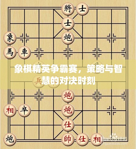 象棋精英爭霸賽，策略與智慧的對決時刻