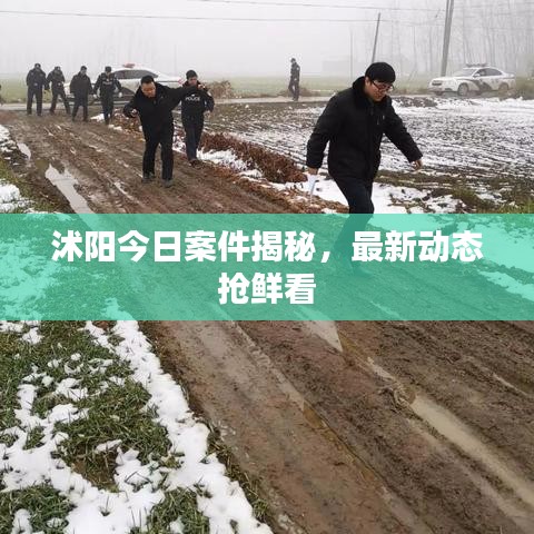 沭陽今日案件揭秘，最新動態(tài)搶鮮看