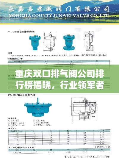 重慶雙口排氣閥公司排行榜揭曉，行業(yè)領軍者榜單！