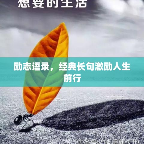 勵(lì)志語錄，經(jīng)典長句激勵(lì)人生前行