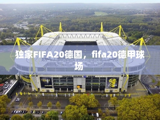 獨(dú)家FIFA20德國，fifa20德甲球場(chǎng) 