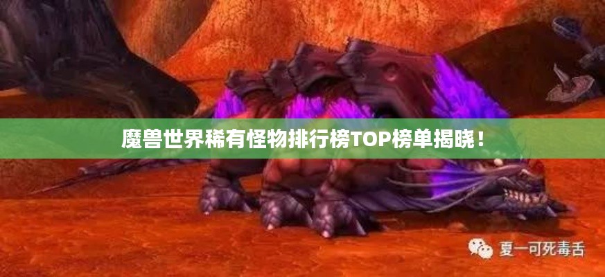 魔獸世界稀有怪物排行榜TOP榜單揭曉！