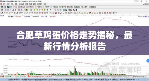 合肥草雞蛋價(jià)格走勢(shì)揭秘，最新行情分析報(bào)告