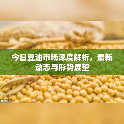今日豆油市場深度解析，最新動(dòng)態(tài)與形勢展望
