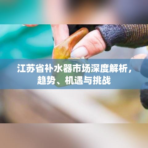 江蘇省補(bǔ)水器市場(chǎng)深度解析，趨勢(shì)、機(jī)遇與挑戰(zhàn)
