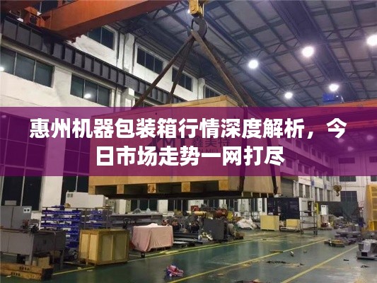 惠州機器包裝箱行情深度解析，今日市場走勢一網(wǎng)打盡