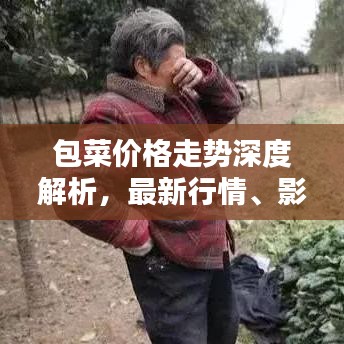 包菜價(jià)格走勢(shì)深度解析，最新行情、影響因素及預(yù)測(cè)