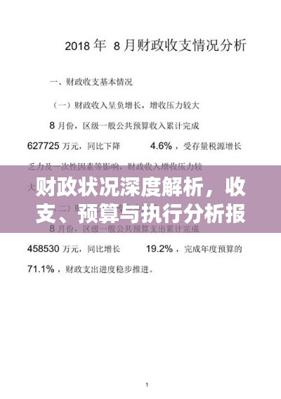 財政狀況深度解析，收支、預算與執(zhí)行分析報告