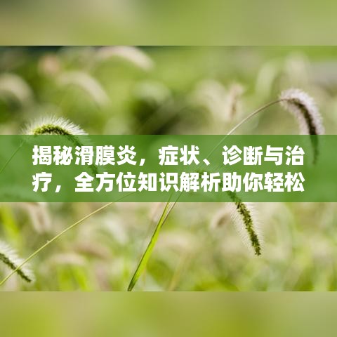 揭秘滑膜炎，癥狀、診斷與治療，全方位知識(shí)解析助你輕松應(yīng)對(duì)！