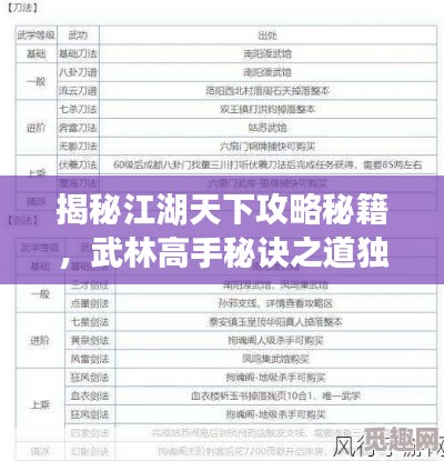 揭秘江湖天下攻略秘籍，武林高手秘訣之道獨(dú)家揭秘