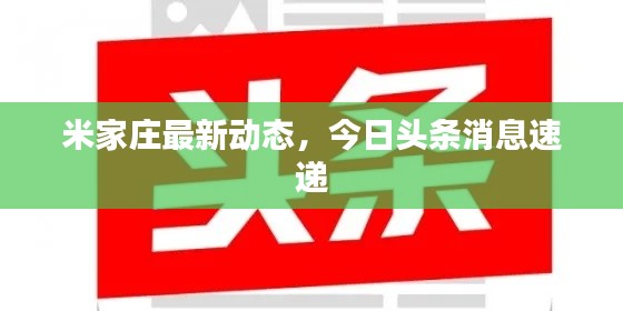 米家莊最新動態(tài)，今日頭條消息速遞