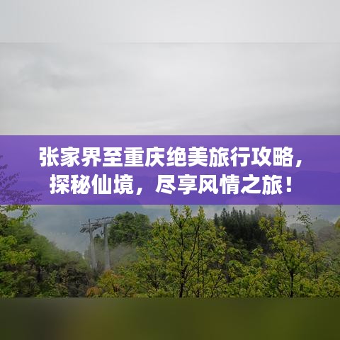 張家界至重慶絕美旅行攻略，探秘仙境，盡享風(fēng)情之旅！