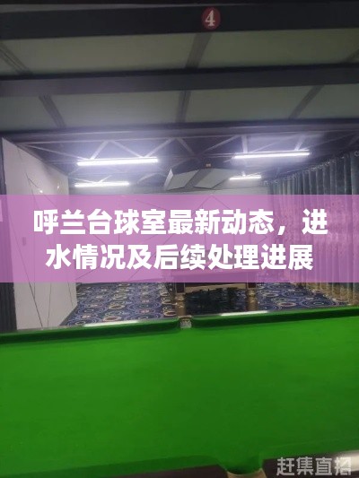 呼蘭臺球室最新動態(tài)，進水情況及后續(xù)處理進展揭秘