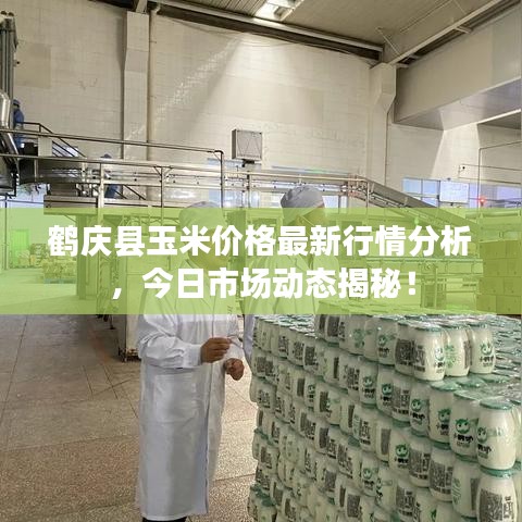 鶴慶縣玉米價格最新行情分析，今日市場動態(tài)揭秘！