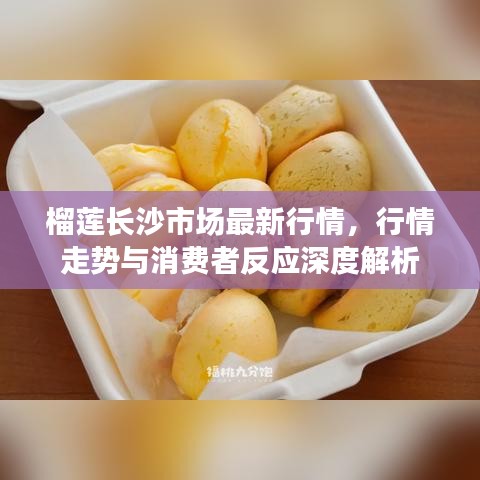 榴蓮長(zhǎng)沙市場(chǎng)最新行情，行情走勢(shì)與消費(fèi)者反應(yīng)深度解析