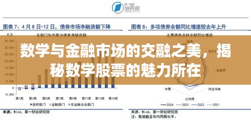 數(shù)學(xué)與金融市場的交融之美，揭秘數(shù)學(xué)股票的魅力所在