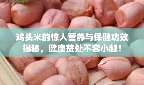 雞頭米的驚人營(yíng)養(yǎng)與保健功效揭秘，健康益處不容小覷！