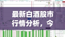 最新白酒股市行情分析，今日股價(jià)走勢揭秘