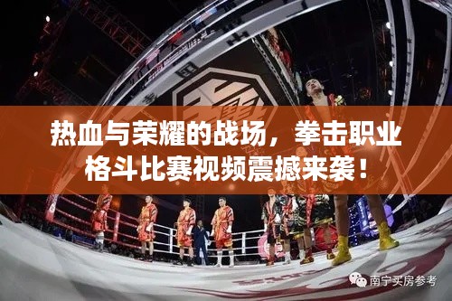 熱血與榮耀的戰(zhàn)場(chǎng)，拳擊職業(yè)格斗比賽視頻震撼來襲！