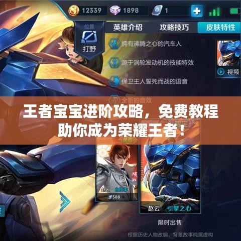 王者寶寶進(jìn)階攻略，免費(fèi)教程助你成為榮耀王者！