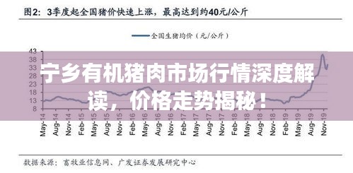 寧鄉(xiāng)有機豬肉市場行情深度解讀，價格走勢揭秘！