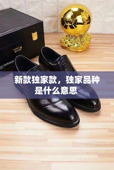 新款獨(dú)家款，獨(dú)家品種是什么意思 
