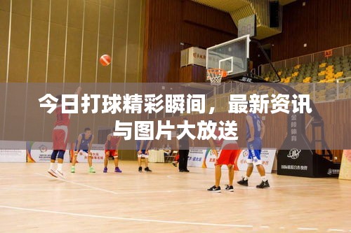 今日打球精彩瞬間，最新資訊與圖片大放送
