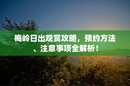 梅嶺日出觀賞攻略，預約方法、注意事項全解析！