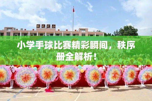 小學(xué)手球比賽精彩瞬間，秩序冊(cè)全解析！