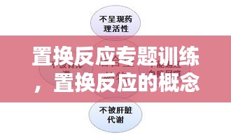 置換反應(yīng)專題訓(xùn)練，置換反應(yīng)的概念和例子 
