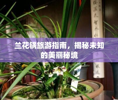 蘭花鍋旅游指南，揭秘未知的美麗秘境