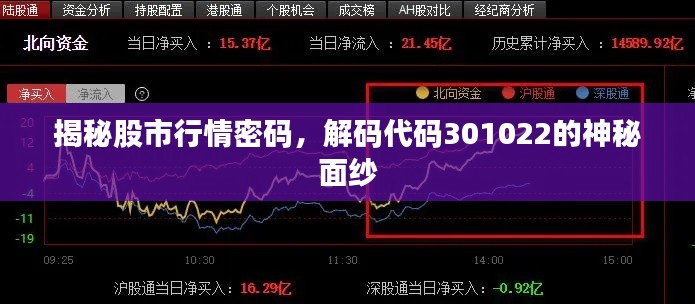 揭秘股市行情密碼，解碼代碼301022的神秘面紗