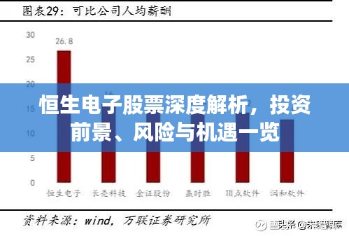 恒生電子股票深度解析，投資前景、風(fēng)險與機遇一覽