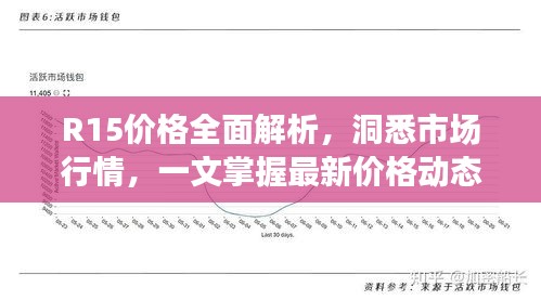 R15價格全面解析，洞悉市場行情，一文掌握最新價格動態(tài)！