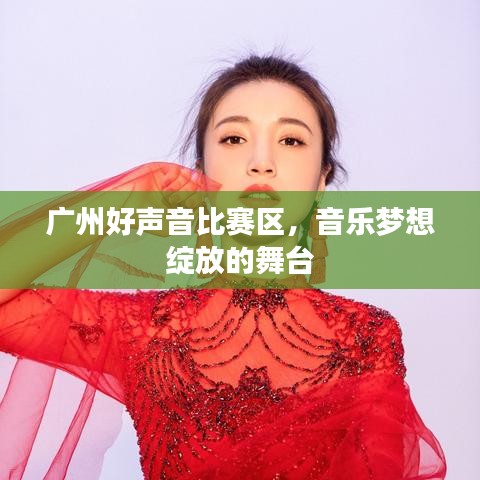 廣州好聲音比賽區(qū)，音樂(lè)夢(mèng)想綻放的舞臺(tái)
