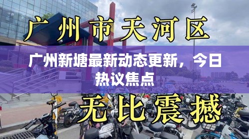 廣州新塘最新動態(tài)更新，今日熱議焦點(diǎn)