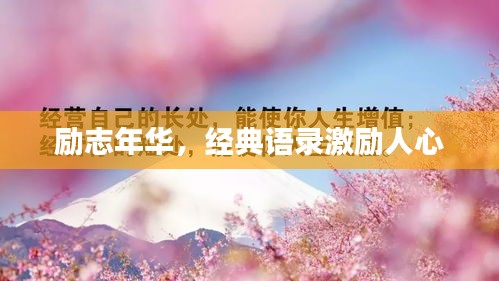 勵志年華，經(jīng)典語錄激勵人心