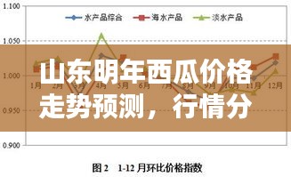 山東明年西瓜價(jià)格走勢(shì)預(yù)測(cè)，行情分析與展望