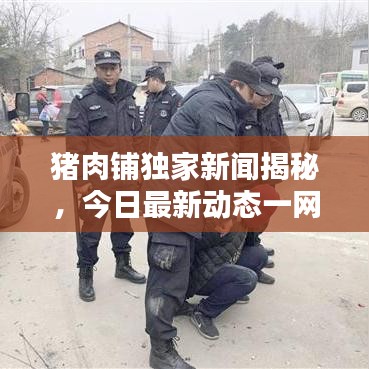 豬肉鋪獨家新聞揭秘，今日最新動態(tài)一網(wǎng)打盡