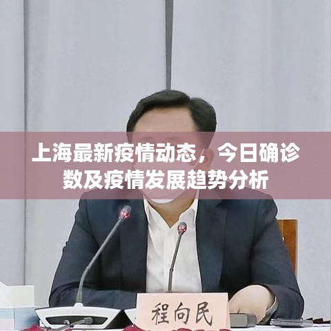 公司概況 第17頁