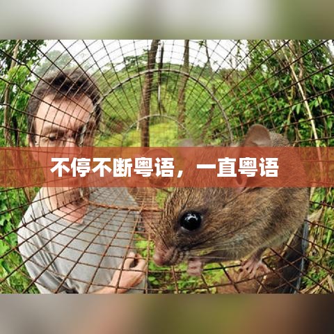 不停不斷粵語，一直粵語 