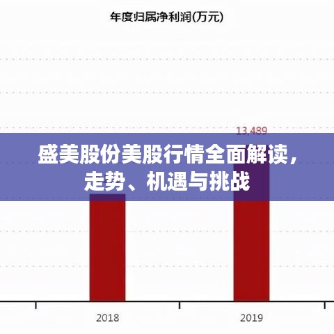 盛美股份美股行情全面解讀，走勢、機遇與挑戰(zhàn)